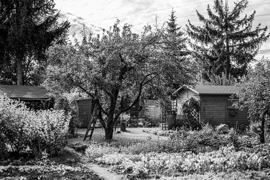 Do You Need Planning Permission for a Garden Office UK?