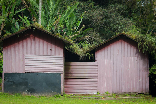 Best Wood Treatment for Garden Sheds: A 2026 Guide